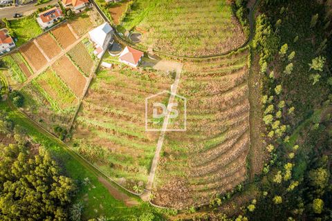 Helårsgrund i Calheta, Madeira, Calheta - € 500.000 | Ref: DSF80 - foto 12