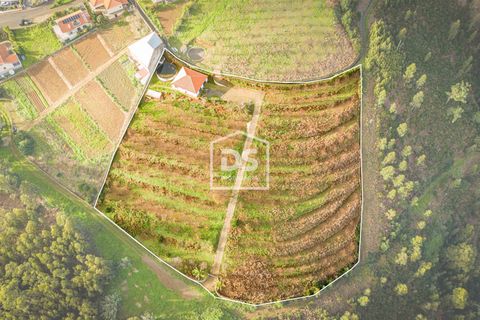 Helårsgrund i Calheta, Madeira, Calheta - € 500.000 | Ref: DSF80 - foto 13
