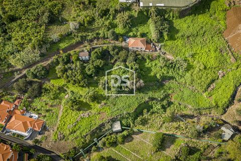 Terra a Calheta, Madeira, Calheta - € 950.000 | Ref: DSF103 - foto 2