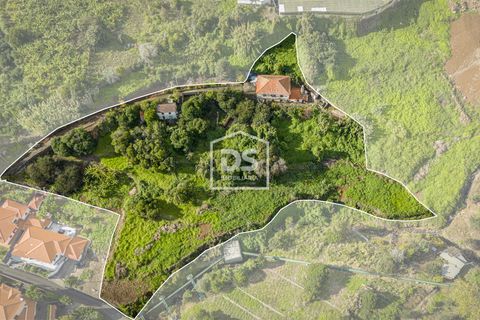 Terra a Calheta, Madeira, Calheta - € 950.000 | Ref: DSF103 - foto 3