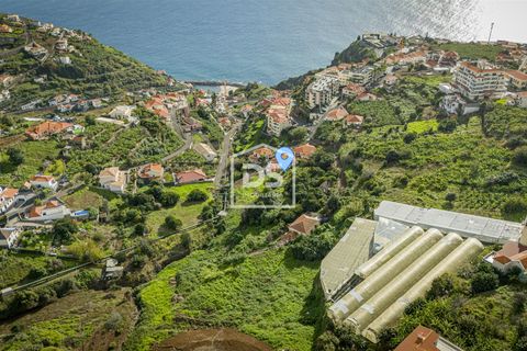 Terra a Calheta, Madeira, Calheta - € 950.000 | Ref: DSF103 - foto 5