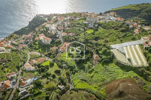 Terra a Calheta, Madeira, Calheta - € 950.000 | Ref: DSF103 - foto 6