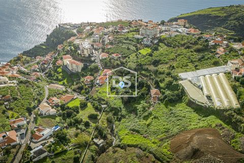 Terra a Calheta, Madeira, Calheta - € 950.000 | Ref: DSF103 - foto 7