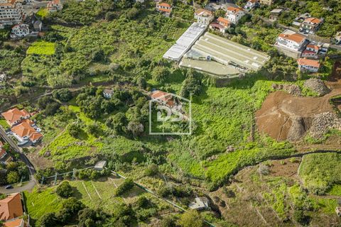 Terra a Calheta, Madeira, Calheta - € 950.000 | Ref: DSF103 - foto 8