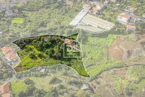 Terra a Calheta, Madeira, Calheta - € 950.000 | Ref: DSF103 - foto 9