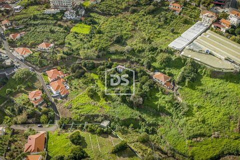 Terra a Calheta, Madeira, Calheta - € 950.000 | Ref: DSF103 - foto 10