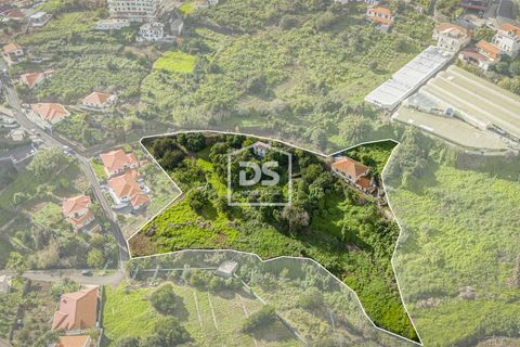 Terra a Calheta, Madeira, Calheta - € 950.000 | Ref: DSF103 - foto 11