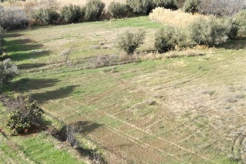 Landsbyhus i Cullar, Granada, Cullar - € 268.000 | Ref: 103 - foto 26
