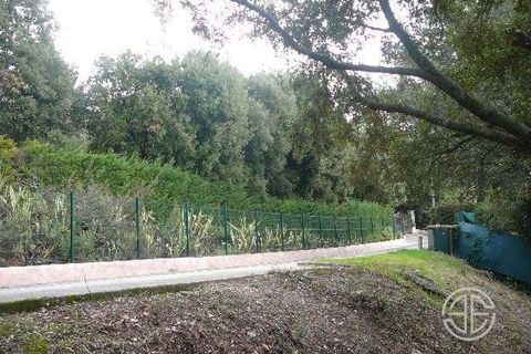 Terra a Le Biot, Haute-Savoie, Le Biot - € 1.795.000 | Ref: E100 - foto 7