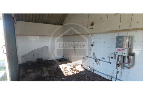 Villa i Vile, Viana do Castelo, Vile - € 60.000 | Ref: CM2018110050 - foto 5