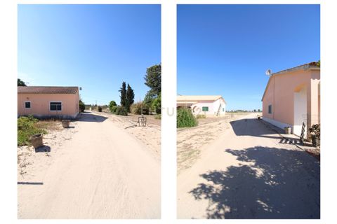 Farm hus i Palmela, Setubal, Palmela - € 375.000 | Ref: 1782-02239 - foto 5