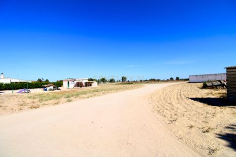 Farm hus i Palmela, Setubal, Palmela - € 375.000 | Ref: 1782-02239 - foto 6