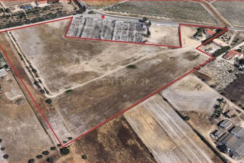 Farm hus i Palmela, Setubal, Palmela - € 375.000 | Ref: 1782-02239 - foto 19