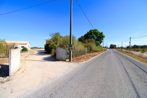 Farm hus i Palmela, Setubal, Palmela - € 375.000 | Ref: 1782-02239 - foto 20