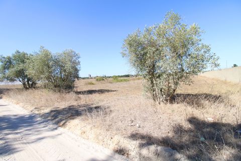 Farm hus i Palmela, Setubal, Palmela - € 375.000 | Ref: 1782-02239 - foto 22