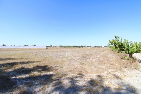 Farm hus i Palmela, Setubal, Palmela - € 375.000 | Ref: 1782-02239 - foto 23