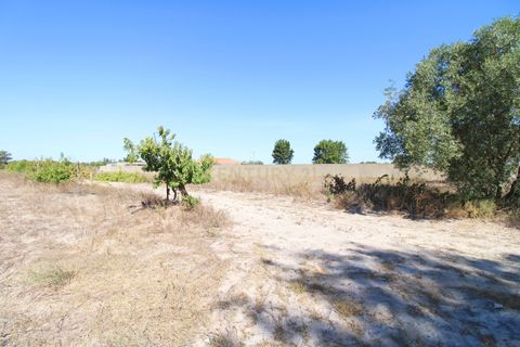 Farm hus i Palmela, Setubal, Palmela - € 375.000 | Ref: 1782-02239 - foto 24