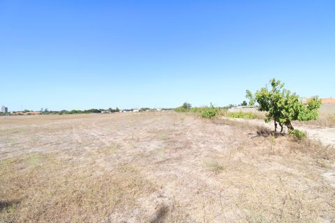 Farm hus i Palmela, Setubal, Palmela - € 375.000 | Ref: 1782-02239 - foto 25