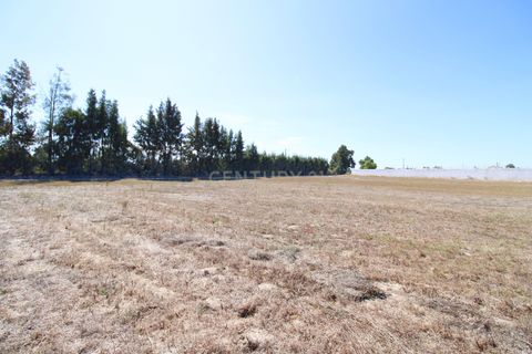 Farm hus i Palmela, Setubal, Palmela - € 375.000 | Ref: 1782-02239 - foto 27