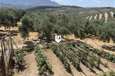 Cortijo i Rute, Cordoba, Rute - € 245.000 | Ref: CJ871 - foto 14