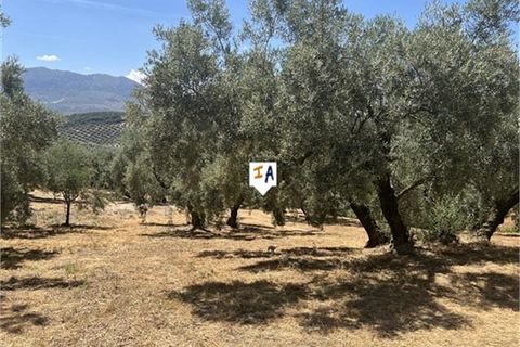 Cortijo i Rute, Cordoba, Rute - € 245.000 | Ref: CJ871 - foto 16