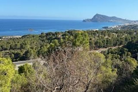 Helårsgrund i Altea, Alicante, Altea - € 149.000 | Ref: P19 - foto 5