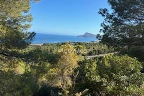 Helårsgrund i Altea, Alicante, Altea - € 149.000 | Ref: P19 - foto 6