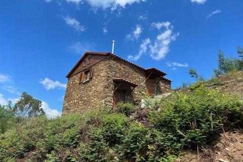 Farm i Arganil, Coimbra, Arganil - € 240.000 | Ref: 2411 QUI - foto 5