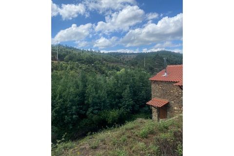 Farm i Arganil, Coimbra, Arganil - € 240.000 | Ref: 2411 QUI - foto 7