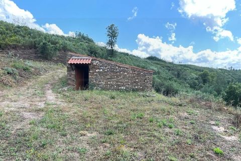Farm i Arganil, Coimbra, Arganil - € 240.000 | Ref: 2411 QUI - foto 10