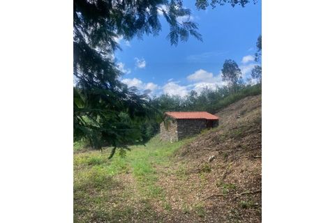 Farm i Arganil, Coimbra, Arganil - € 240.000 | Ref: 2411 QUI - foto 14