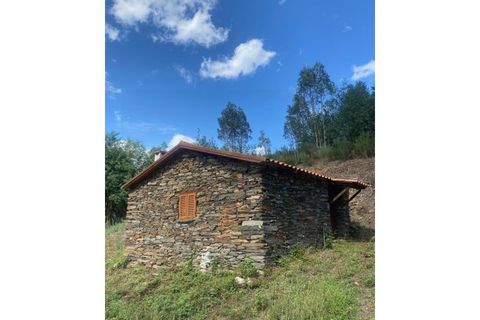 Farm i Arganil, Coimbra, Arganil - € 240.000 | Ref: 2411 QUI - foto 15