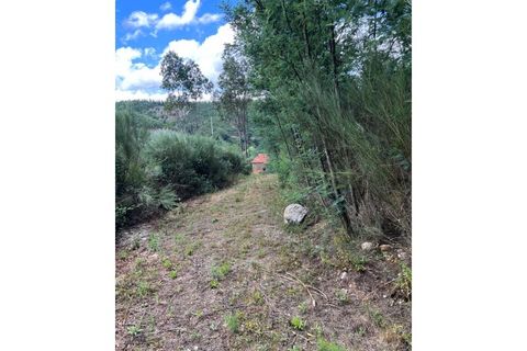 Farm i Arganil, Coimbra, Arganil - € 240.000 | Ref: 2411 QUI - foto 19