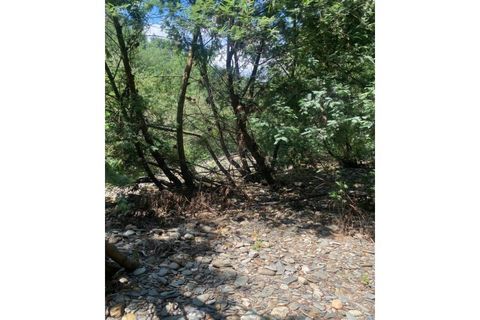Farm i Arganil, Coimbra, Arganil - € 240.000 | Ref: 2411 QUI - foto 21