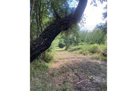 Farm i Arganil, Coimbra, Arganil - € 240.000 | Ref: 2411 QUI - foto 23