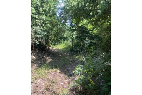 Farm i Arganil, Coimbra, Arganil - € 240.000 | Ref: 2411 QUI - foto 24