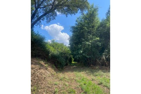 Farm i Arganil, Coimbra, Arganil - € 240.000 | Ref: 2411 QUI - foto 25