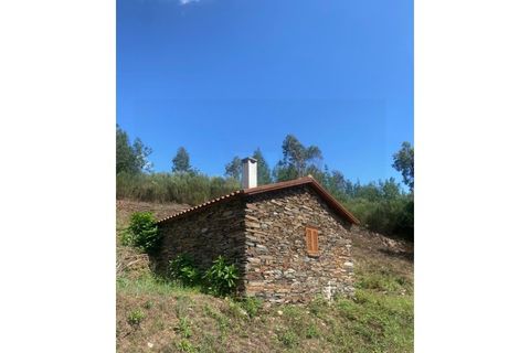 Farm i Arganil, Coimbra, Arganil - € 240.000 | Ref: 2411 QUI - foto 3