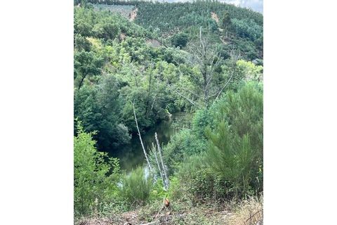 Farm i Arganil, Coimbra, Arganil - € 240.000 | Ref: 2411 QUI - foto 28