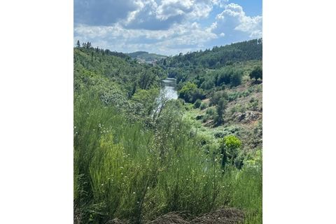 Farm i Arganil, Coimbra, Arganil - € 240.000 | Ref: 2411 QUI - foto 29