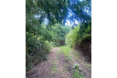 Farm i Arganil, Coimbra, Arganil - € 240.000 | Ref: 2411 QUI - foto 30