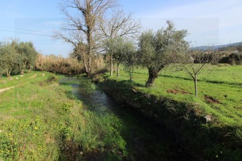 Erhvervsejendom i Espinhal, Coimbra, Espinhal - € 190.000 | Ref: 2395 MR - foto 8