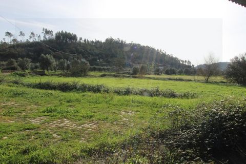 Erhvervsejendom i Espinhal, Coimbra, Espinhal - € 190.000 | Ref: 2395 MR - foto 9