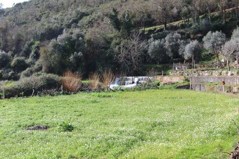 Erhvervsejendom i Espinhal, Coimbra, Espinhal - € 190.000 | Ref: 2395 MR - foto 10