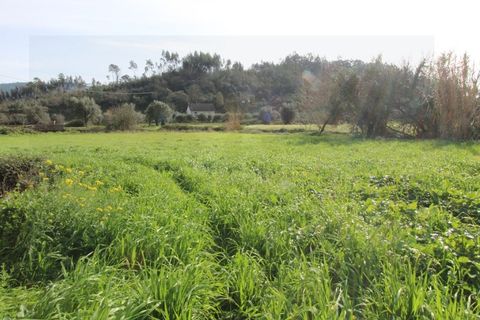 Erhvervsejendom i Espinhal, Coimbra, Espinhal - € 190.000 | Ref: 2395 MR - foto 11