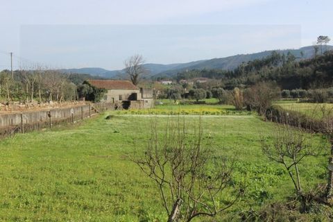 Erhvervsejendom i Espinhal, Coimbra, Espinhal - € 190.000 | Ref: 2395 MR - foto 12