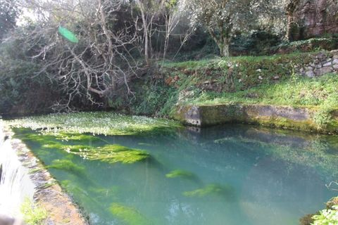 Erhvervsejendom i Espinhal, Coimbra, Espinhal - € 190.000 | Ref: 2395 MR - foto 27