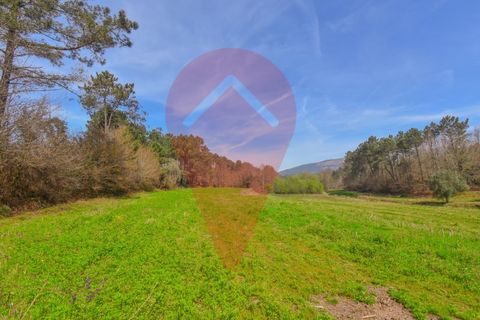 Helårsgrund i Valenca, Viana do Castelo, Valenca - € 99.000 | Ref: TER_218 - foto 1