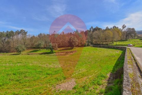 Helårsgrund i Valenca, Viana do Castelo, Valenca - € 99.000 | Ref: TER_218 - foto 2