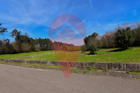 Helårsgrund i Valenca, Viana do Castelo, Valenca - € 99.000 | Ref: TER_218 - foto 3